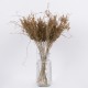GloboStar® FERNGRASS 36556 Αποξηραμένο Φυτό Φτερόχορτο - Μπουκέτο Διακοσμητικών Κλαδιών Μπεζ Υ60cm GloboStar® FERNGRASS 36556 Αποξηραμένο Φυτό Φτερόχορτο - Μπουκέτο Διακοσμητικών Κλαδιών Μπεζ Υ60cm