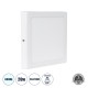 GloboStar® 60203 Εξωτερικό LED Panel 22x22cm 20W 2180lm 120° AC 220-240V IP20 Μ22 x Π22 x Υ3cm Ψυχρό Λευκό 6000K - 3 Χρόνια Εγγύηση GloboStar® 60203 Εξωτερικό LED Panel 22x22cm 20W 2180lm 120° AC 220-240V IP20 Μ22 x Π22 x Υ3cm Ψυχρό Λευκό 6000K - 3 Χρόνια Εγγύηση