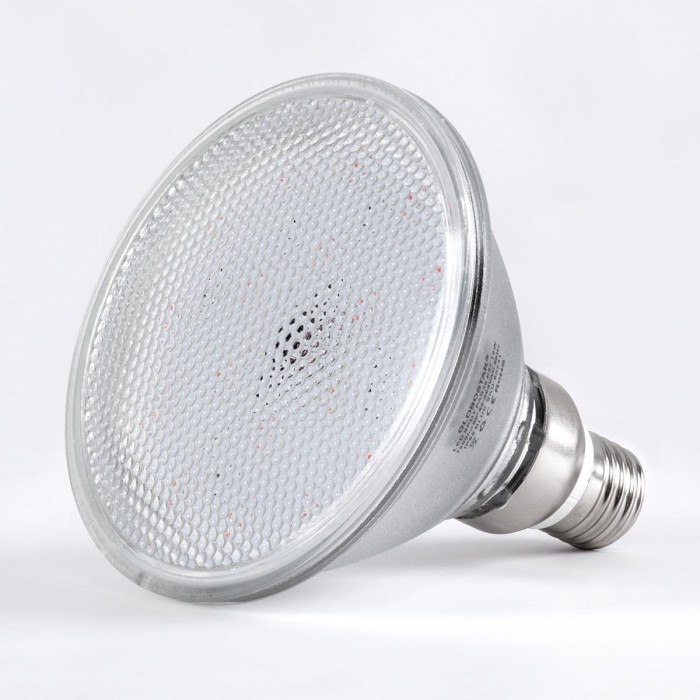 GloboStar® 60229 Λάμπα LED E27 PAR38 Κήπου Σκληρού Υάλου 18W 1200lm 60° AC 220-240V IP65 Φ12 x Υ13cm Κόκκινο - 3 Years Warranty GloboStar® 60229 Λάμπα LED E27 PAR38 Κήπου Σκληρού Υάλου 18W 1200lm 60° AC 220-240V IP65 Φ12 x Υ13cm Κόκκινο - 3 Years Warranty