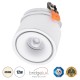 GloboStar® OMEGA-R 60294 Χωνευτό LED Spot Downlight TrimLess Φ10cm 12W 1560lm 36° AC 220-240V IP20 Φ10 x Υ8.2cm - Στρόγγυλο - Λευκό - Φυσικό Λευκό 4500K - Bridgelux COB - 5 Years Warranty GloboStar® OMEGA-R 60294 Χωνευτό LED Spot Downlight TrimLess Φ10cm 12W 1560lm 36° AC 220-240V IP20 Φ10 x Υ8.2cm - Στρόγγυλο - Λευκό - Φυσικό Λευκό 4500K - Bridgelux COB - 5 Years Warranty