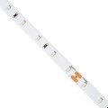 GloboStar® LILAC 70206 Ταινία LED 6W/m 480lm/m 120° DC 24V IP20 - 60 x SMD 2835 LED Chip/Μέτρο - Μ5000 x Π8 x Υ1mm - Ρολό 5 Μέτρων - Μπλε - 5 Χρόνια Εγγύηση