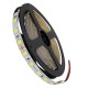 GloboStar® 70220 Ταινία LED SMD 5050 5m 14.4W/m 60LED/m 1728lm/m 120° DC 24V IP20 Ψυχρό Λευκό 6000K - 5 Χρόνια Εγγύηση GloboStar® 70220 Ταινία LED SMD 5050 5m 14.4W/m 60LED/m 1728lm/m 120° DC 24V IP20 Ψυχρό Λευκό 6000K - 5 Χρόνια Εγγύηση