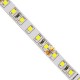 GloboStar® 70230 Ταινία LED SMD 2835 5m 8W/m 120LED/m 1280 lm/m 120° DC 24V IP20 Ψυχρό Λευκό 6000K - 5 Χρόνια Εγγύηση GloboStar® 70230 Ταινία LED SMD 2835 5m 8W/m 120LED/m 1280 lm/m 120° DC 24V IP20 Ψυχρό Λευκό 6000K - 5 Χρόνια Εγγύηση