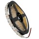 GloboStar® 70245 Ταινία LED SMD 2835 5m 16W/m 240LED/m 1920lm/m 120° DC 24V IP20 Πράσινο - 5 Χρόνια Εγγύηση GloboStar® 70245 Ταινία LED SMD 2835 5m 16W/m 240LED/m 1920lm/m 120° DC 24V IP20 Πράσινο - 5 Χρόνια Εγγύηση