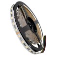 GloboStar® 70265 Ταινία LED SMD 5050 RGBW + WW 5in1 5m 20.4W/m 60LED/m 120° DC 24V IP20 1150lm/m Ψυχρό Λευκό 6000K & 1050lm/m Θερμό Λευκό 3000K & 900lm/m RGB GloboStar® 70265 Ταινία LED SMD 5050 RGBW + WW 5in1 5m 20.4W/m 60LED/m 120° DC 24V IP20 1150lm/m Ψυχρό Λευκό 6000K & 1050lm/m Θερμό Λευκό 3000K & 900lm/m RGB