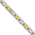GloboStar® 70266 Ταινία LED SMD 5050 RGBW + WW 5m 18W/m 72LED/m 120° DC 24V IP20 1150lm/m Ψυχρό Λευκό 6000k & 1050lm/m Θερμό Λευκό 3000k & 900lm/m RGB GloboStar® 70266 Ταινία LED SMD 5050 RGBW + WW 5m 18W/m 72LED/m 120° DC 24V IP20 1150lm/m Ψυχρό Λευκό 6000k & 1050lm/m Θερμό Λευκό 3000k & 900lm/m RGB