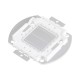 GloboStar® 73770 Υψηλής Ισχύος LED COB BRIDGELUX 30W 1500lm DC 20-24V - Μ5.5 x Π5.2 x Υ0.4cm - Πράσινο - 2 Χρόνια Εγγύηση