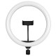 GloboStar® 75802 Professional Digital Ring Light Φ30cm LED SMD 40W 4000lm 180° DC 5V με Καλώδιο Τροφοδοσίας USB - Ενσωματωμένο Χειριστήριο Εναλλαγής Χρωμάτων & 1 Βάση Τηλεφώνου - Πολύχρωμο RGBW+WW Dimmable