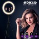 GloboStar® 75804 Professional Digital Ring Light Φ36cm LED SMD 50W 5000lm 180° AC 230V με Καλώδιο Τροφοδοσίας Πρίζας - Ασύρματο Χειριστήριο RF 2.4Ghz Εναλλαγής Χρωμάτων & 3 Βάσεις Τηλεφώνου - Πολύχρωμο RGBW+WW Dimmable GloboStar® 75804 Professional Digital Ring Light Φ36cm LED SMD 50W 5000lm 180° AC 230V με Καλώδιο Τροφοδοσίας Πρίζας - Ασύρματο Χειριστήριο RF 2.4Ghz Εναλλαγής Χρωμάτων & 3 Βάσεις Τηλεφώνου - Πολύχρωμο RGBW+WW Dimmable