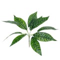 GloboStar® ZEBRA PLANT 78221 Τεχνητό Φυτό Ζέβρα - Μπουκέτο Διακοσμητικών Φυτών - Κλαδιών με Φύλλωμα Πράσινο Υ16cm GloboStar® ZEBRA PLANT 78221 Τεχνητό Φυτό Ζέβρα - Μπουκέτο Διακοσμητικών Φυτών - Κλαδιών με Φύλλωμα Πράσινο Υ16cm