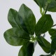 GloboStar® SCHEFFLERA 78222 Τεχνητό Φυτό Σεφλέρα - Μπουκέτο Διακοσμητικών Φυτών - Κλαδιών με Φύλλωμα Πράσινο Υ30cm GloboStar® SCHEFFLERA 78222 Τεχνητό Φυτό Σεφλέρα - Μπουκέτο Διακοσμητικών Φυτών - Κλαδιών με Φύλλωμα Πράσινο Υ30cm