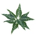 GloboStar® ALOCASIA 78225 Τεχνητό Φυτό Αλοκάσια - Μπουκέτο Διακοσμητικών Φυτών - Κλαδιών με Φύλλωμα Πράσινο Υ43cm GloboStar® ALOCASIA 78225 Τεχνητό Φυτό Αλοκάσια - Μπουκέτο Διακοσμητικών Φυτών - Κλαδιών με Φύλλωμα Πράσινο Υ43cm