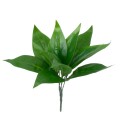GloboStar® ARROW ROOT 78231 Τεχνητό Φυτό Αραρούτι - Μπουκέτο Διακοσμητικών Φυτών - Κλαδιών με Φύλλωμα Πράσινο Υ27cm GloboStar® ARROW ROOT 78231 Τεχνητό Φυτό Αραρούτι - Μπουκέτο Διακοσμητικών Φυτών - Κλαδιών με Φύλλωμα Πράσινο Υ27cm