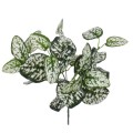 GloboStar® POLKA DOT PLANT 78259 Τεχνητό Φυτό Πόλκα - Μπουκέτο Διακοσμητικών Φυτών - Κλαδιών με Φύλλωμα Πράσινο - Λευκό Υ33cm GloboStar® POLKA DOT PLANT 78259 Τεχνητό Φυτό Πόλκα - Μπουκέτο Διακοσμητικών Φυτών - Κλαδιών με Φύλλωμα Πράσινο - Λευκό Υ33cm