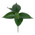 GloboStar® POTHOS 78266 Τεχνητό Φυτό Πόθος - Μπουκέτο Διακοσμητικών Φυτών - Κλαδιών με Φύλλωμα Πράσινο Υ28cm GloboStar® POTHOS 78266 Τεχνητό Φυτό Πόθος - Μπουκέτο Διακοσμητικών Φυτών - Κλαδιών με Φύλλωμα Πράσινο Υ28cm