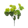 GloboStar® CENTELLA 78267 Τεχνητό Φυτό Σεντέλα - Μπουκέτο Διακοσμητικών Φυτών - Κλαδιών με Φύλλωμα Πράσινο Υ33cm GloboStar® CENTELLA 78267 Τεχνητό Φυτό Σεντέλα - Μπουκέτο Διακοσμητικών Φυτών - Κλαδιών με Φύλλωμα Πράσινο Υ33cm