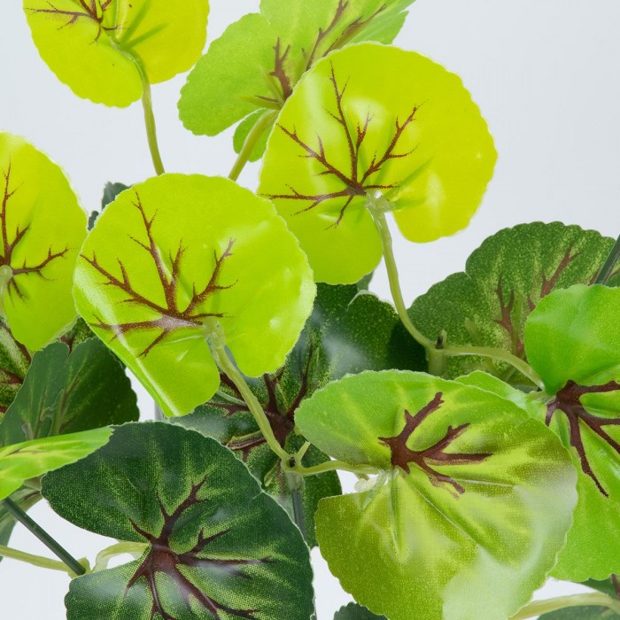 GloboStar® CENTELLA 78267 Τεχνητό Φυτό Σεντέλα - Μπουκέτο Διακοσμητικών Φυτών - Κλαδιών με Φύλλωμα Πράσινο Υ33cm GloboStar® CENTELLA 78267 Τεχνητό Φυτό Σεντέλα - Μπουκέτο Διακοσμητικών Φυτών - Κλαδιών με Φύλλωμα Πράσινο Υ33cm