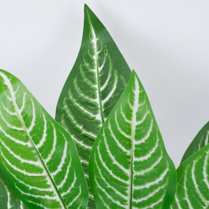 GloboStar® MADAGASCAR JEWEL 78274 Τεχνητό Φυτό Ευφορβία - Μπουκέτο Διακοσμητικών Φυτών - Κλαδιών με Φύλλωμα Πράσινο Υ35cm GloboStar® MADAGASCAR JEWEL 78274 Τεχνητό Φυτό Ευφορβία - Μπουκέτο Διακοσμητικών Φυτών - Κλαδιών με Φύλλωμα Πράσινο Υ35cm