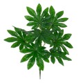 GloboStar® FATSIA 78283 Τεχνητό Φυτό Φάτσια - Μπουκέτο Διακοσμητικών Φυτών - Κλαδιών με Φύλλωμα Πράσινο Υ36cm GloboStar® FATSIA 78283 Τεχνητό Φυτό Φάτσια - Μπουκέτο Διακοσμητικών Φυτών - Κλαδιών με Φύλλωμα Πράσινο Υ36cm