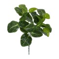GloboStar® NERVE PLANT 78300 Τεχνητό Φυτό Φιτόνια - Μπουκέτο Διακοσμητικών Φυτών - Κλαδιών με Φύλλωμα Πράσινο Υ32cm GloboStar® NERVE PLANT 78300 Τεχνητό Φυτό Φιτόνια - Μπουκέτο Διακοσμητικών Φυτών - Κλαδιών με Φύλλωμα Πράσινο Υ32cm