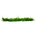 GLOBOSTAR® LEYLAND 78418 Τεχνητό Πάνελ Φυλλωσιάς Κάθετος Κήπος Λέιλαντ/Νάνος Κισσός - Πράσινο - Μ60 x Π9 x Υ40cm