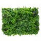 GLOBOSTAR® PEPPEROMIA 78434 Artificial Wall Plant Panel / Vertical Garden Peperomia & Zebrina - Green - L60 x W9 x H40cm GLOBOSTAR® PEPPEROMIA 78434 Artificial Wall Plant Panel / Vertical Garden Peperomia & Zebrina - Green - L60 x W9 x H40cm