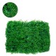 GLOBOSTAR® ALGELICA 78435 Τεχνητό Πάνελ Φυλλωσιάς / Κάθετος Κήπος Φύλλα Αγγελικής - Πράσινο - Μ60 x Π8 x Υ50cm GLOBOSTAR® ALGELICA 78435 Τεχνητό Πάνελ Φυλλωσιάς / Κάθετος Κήπος Φύλλα Αγγελικής - Πράσινο - Μ60 x Π8 x Υ50cm