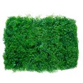 GLOBOSTAR® ALGELICA 78435 Τεχνητό Πάνελ Φυλλωσιάς / Κάθετος Κήπος Φύλλα Αγγελικής - Πράσινο - Μ60 x Π8 x Υ50cm