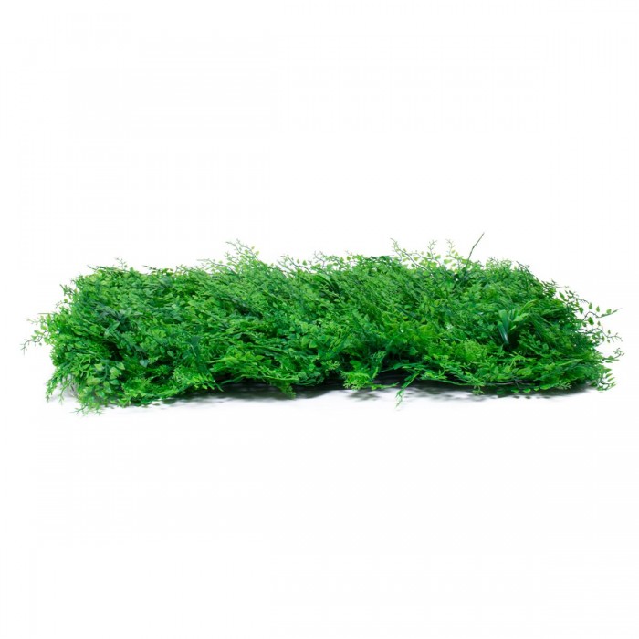 GLOBOSTAR® ALGELICA 78435 Τεχνητό Πάνελ Φυλλωσιάς / Κάθετος Κήπος Φύλλα Αγγελικής - Πράσινο - Μ60 x Π8 x Υ50cm GLOBOSTAR® ALGELICA 78435 Τεχνητό Πάνελ Φυλλωσιάς / Κάθετος Κήπος Φύλλα Αγγελικής - Πράσινο - Μ60 x Π8 x Υ50cm