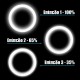 GloboStar® 79043 Selfie Ring Light LED SMD 2W 200 lm Μαύρο Σώμα με Ενσωματωμένη Επαναφορτιζόμενη Μπαταρία 500mAh & Καλώδιο Φόρτισης Micro USB Ψυχρό Λευκό 6000 K για Κινητό Τηλέφωνο και Tablet Φ8.5 x Υ2.5cm GloboStar® 79043 Selfie Ring Light LED SMD 2W 200 lm Μαύρο Σώμα με Ενσωματωμένη Επαναφορτιζόμενη Μπαταρία 500mAh & Καλώδιο Φόρτισης Micro USB Ψυχρό Λευκό 6000 K για Κινητό Τηλέφωνο και Tablet Φ8.5 x Υ2.5cm