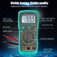 GloboStar® 79982 Ψηφιακό Πολύμετρο Proskit MT-1210 με Θήκη Προστασίας - Οθόνη 3 ½ - Buzzer και Βοηθητικό Φωτισμό