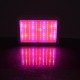 GloboStar® 85950 Grow Light Full Spectrum LED Φωτιστικό Ανάπτυξης Φυτών Θερμοκηπίου SMD 2835 1000W 160° AC230V IP54 Εσωτερικού Χώρου για Κάλυψη Επιφάνειας 1.5m x 1.5m Πλήρους Φάσματος Φωτισμού GloboStar® 85950 Grow Light Full Spectrum LED Φωτιστικό Ανάπτυξης Φυτών Θερμοκηπίου SMD 2835 1000W 160° AC230V IP54 Εσωτερικού Χώρου για Κάλυψη Επιφάνειας 1.5m x 1.5m Πλήρους Φάσματος Φωτισμού