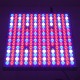 GloboStar® 85954 Grow Light Panel Full Spectrum LED Φωτιστικό Ανάπτυξης Φυτών Θερμοκηπίου SMD 2835 100W 160° AC230V IP54 Εσωτερικού Χώρου για Κάλυψη Επιφάνειας 1m x 1m Πλήρους Φάσματος Φωτισμού GloboStar® 85954 Grow Light Panel Full Spectrum LED Φωτιστικό Ανάπτυξης Φυτών Θερμοκηπίου SMD 2835 100W 160° AC230V IP54 Εσωτερικού Χώρου για Κάλυψη Επιφάνειας 1m x 1m Πλήρους Φάσματος Φωτισμού