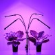 GloboStar® 85956 Grow Light Full Spectrum LED Φωτιστικό Ανάπτυξης Φυτών Γλάστρας με 4 Κινούμενες Κεφαλές & Τρίποδο 150cm SMD 2835 20W 180° AC230V IP20 με Dimmer & Timer Εσωτερικού Χώρου για Κάλυψη Επιφάνειας 1m x 1m Πλήρους Φάσματος Φωτισμού