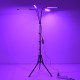 GloboStar® 85956 Grow Light Full Spectrum LED Φωτιστικό Ανάπτυξης Φυτών Γλάστρας με 4 Κινούμενες Κεφαλές & Τρίποδο 150cm SMD 2835 20W 180° AC230V IP20 με Dimmer & Timer Εσωτερικού Χώρου για Κάλυψη Επιφάνειας 1m x 1m Πλήρους Φάσματος Φωτισμού