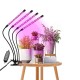 GloboStar® 85957 Grow Light Full Spectrum LED Φωτιστικό Ανάπτυξης Φυτών Γλάστρας με 4 Κινούμενες Κεφαλές & Βάση Μανταλάκι Clip SMD 2835 20W 160° AC230V IP20 με Dimmer & Timer Εσωτερικού Χώρου για Κάλυψη Επιφάνειας 1m x 1m Πλήρους Φάσματος Φωτισμού GloboStar® 85957 Grow Light Full Spectrum LED Φωτιστικό Ανάπτυξης Φυτών Γλάστρας με 4 Κινούμενες Κεφαλές & Βάση Μανταλάκι Clip SMD 2835 20W 160° AC230V IP20 με Dimmer & Timer Εσωτερικού Χώρου για Κάλυψη Επιφάνειας 1m x 1m Πλήρους Φάσματος Φωτισμού
