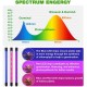 GloboStar® 85957 Grow Light Full Spectrum LED Φωτιστικό Ανάπτυξης Φυτών Γλάστρας με 4 Κινούμενες Κεφαλές & Βάση Μανταλάκι Clip SMD 2835 20W 160° AC230V IP20 με Dimmer & Timer Εσωτερικού Χώρου για Κάλυψη Επιφάνειας 1m x 1m Πλήρους Φάσματος Φωτισμού GloboStar® 85957 Grow Light Full Spectrum LED Φωτιστικό Ανάπτυξης Φυτών Γλάστρας με 4 Κινούμενες Κεφαλές & Βάση Μανταλάκι Clip SMD 2835 20W 160° AC230V IP20 με Dimmer & Timer Εσωτερικού Χώρου για Κάλυψη Επιφάνειας 1m x 1m Πλήρους Φάσματος Φωτισμού