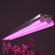 GloboStar® 85958 Linear Grow Light Full Spectrum LED Γραμμικό Φωτιστικό Ανάπτυξης Φυτών Θερμοκηπίου 120cm SMD 2835 200W 120° AC230V IP54 Εσωτερικού Χώρου για Κάλυψη Επιφάνειας 1.2m x 1.2m Πλήρους Φάσματος Φωτισμού GloboStar® 85958 Linear Grow Light Full Spectrum LED Γραμμικό Φωτιστικό Ανάπτυξης Φυτών Θερμοκηπίου 120cm SMD 2835 200W 120° AC230V IP54 Εσωτερικού Χώρου για Κάλυψη Επιφάνειας 1.2m x 1.2m Πλήρους Φάσματος Φωτισμού