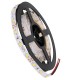 GloboStar® AVILA 90590 Ταινία LED 4.8W/m 300lm/m 120° DC 12V IP20 - 60 x SMD 3528 LED Chip/Μέτρο - Μ5000 x Π8 x Υ2mm - Ρολό 5 Μέτρων - Ψυχρό Λευκό 6000K - 2 Χρόνια Εγγύηση GloboStar® AVILA 90590 Ταινία LED 4.8W/m 300lm/m 120° DC 12V IP20 - 60 x SMD 3528 LED Chip/Μέτρο - Μ5000 x Π8 x Υ2mm - Ρολό 5 Μέτρων - Ψυχρό Λευκό 6000K - 2 Χρόνια Εγγύηση