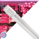 GloboStar® 99332 Λάμπα Σωλήνας Τύπου Φθορίου T8 Linear 120cm LED SMD 2835 20W 2000 lm 320° AC 85-265V IP20 CRI ≥90 Ροζ Ειδική για Κρεοπωλείο GloboStar® 99332 Λάμπα Σωλήνας Τύπου Φθορίου T8 Linear 120cm LED SMD 2835 20W 2000 lm 320° AC 85-265V IP20 CRI ≥90 Ροζ Ειδική για Κρεοπωλείο