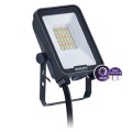 BVP167 ALL-IN LED84 - Προβολέας LED Philips, 3000K, 4000K, 6500K, 70W, 7700lm-8400lm, 110°, ΙΚ08, CRI>80, IP65, 28.6x20.3x3.3cm, 21.5x17.5cm (γυαλί),  γκρι