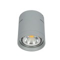VK/04053CE/G/S - Σποτ οροφής κύλινδρος, 240V, GU10/ES111, Max 20W (LED), ø12x13.5cm, IP20, γκρι 