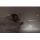 VK/04224/W/W - Φωτάκι νυκτός led, 100-240V, 3W, 3000K, 40lm, CRI>80, IP20, λευκό VK/04224/W/W - Φωτάκι νυκτός led, 100-240V, 3W, 3000K, 40lm, CRI>80, IP20, λευκό