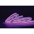 VK/24/COB/RGB/576 - Ταινία LED COB. 24V. RGB. 398.44lm/m. Κοπή κάθε 50mm. 14W/m. 5m/roll. LED COB 576. Led qty 576pcs/m. CRI>90. Dim yes. -40°C → 80°C. IP20 - 5m