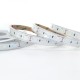 VK/24/2216W/940/120 - Ταινία Led SMD 2216 EPISTAR, 24V, 12W/m, 1550lm/m, 4000K, 5m/roll, CRI>90, IP66 - 5m VK/24/2216W/940/120 - Ταινία Led SMD 2216 EPISTAR, 24V, 12W/m, 1550lm/m, 4000K, 5m/roll, CRI>90, IP66 - 5m